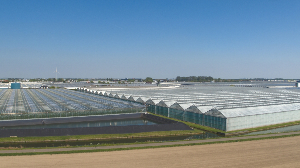 Greenhouse Farming